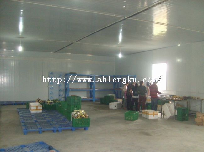 工人在冷庫(kù)內(nèi)操作